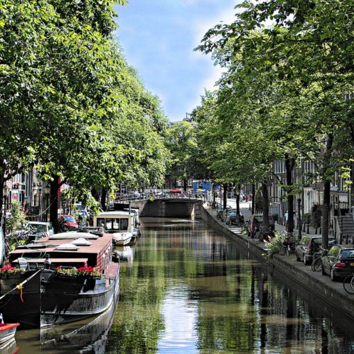 Tree-lined canal in the Jordaan district of Amsterdam, Netherlands