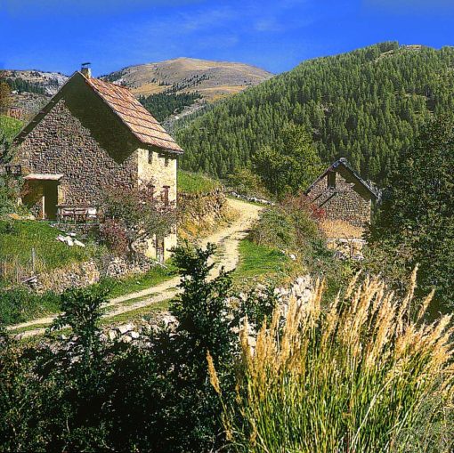 View of track winding through Rétouria hamlet, France
