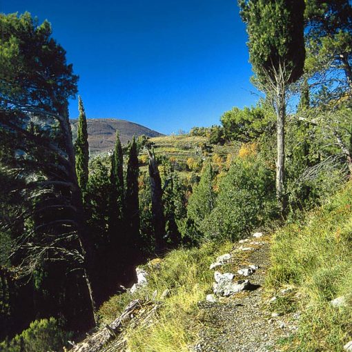 View of a path leading high above Monte Pertuso to the Caserma Forestale with the dome of Monte Comune in the distance, Italy