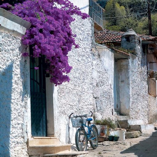 View of white houses and purple flowers in a village between Kaș and Dalyan, Turkey